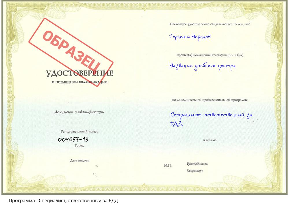 Специалист, ответственный за БДД Кулебаки