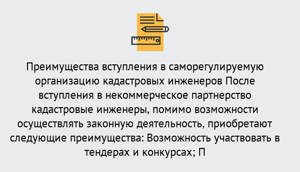 Почему нужно обратиться к нам? Кулебаки Что дает допуск СРО кадастровых инженеров?