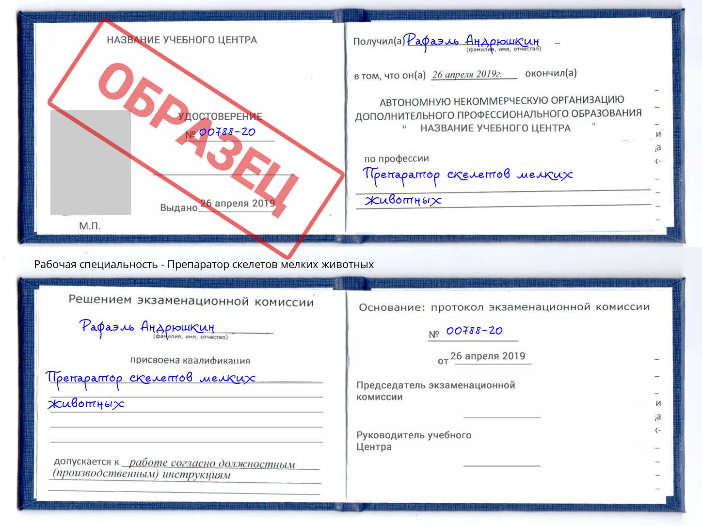Препаратор скелетов мелких животных Кулебаки