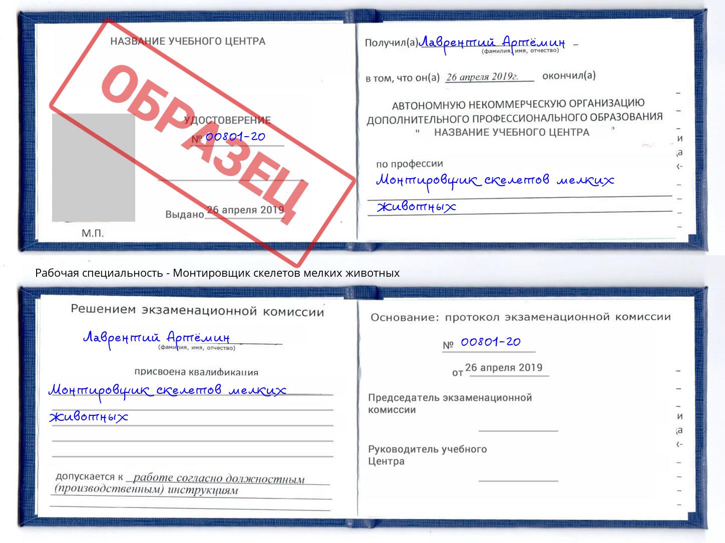 Монтировщик скелетов мелких животных Кулебаки