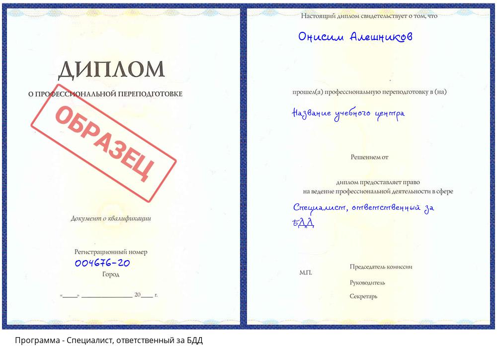 Специалист, ответственный за БДД Кулебаки