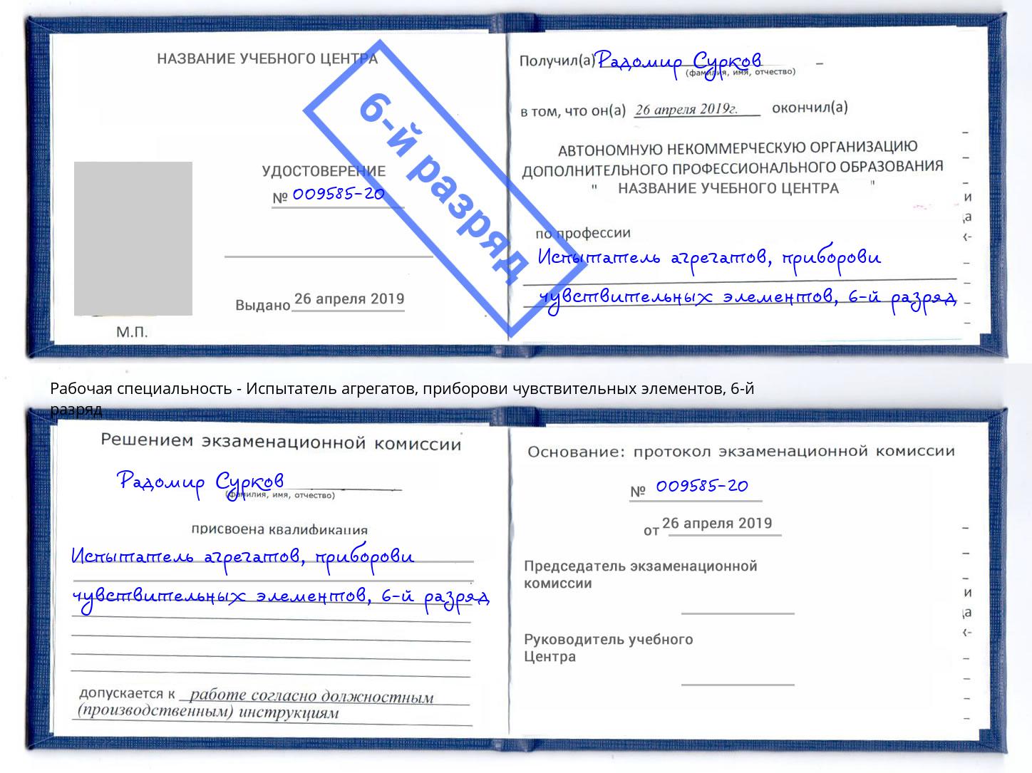 корочка 6-й разряд Испытатель агрегатов, приборови чувствительных элементов Кулебаки