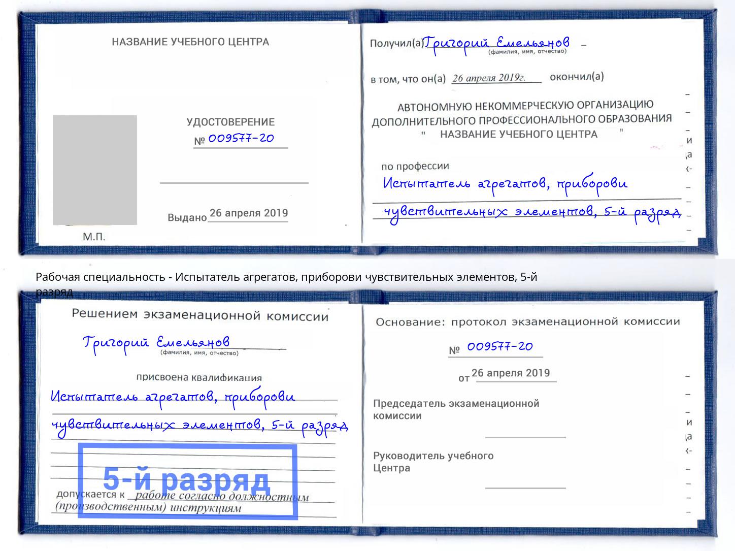 корочка 5-й разряд Испытатель агрегатов, приборови чувствительных элементов Кулебаки