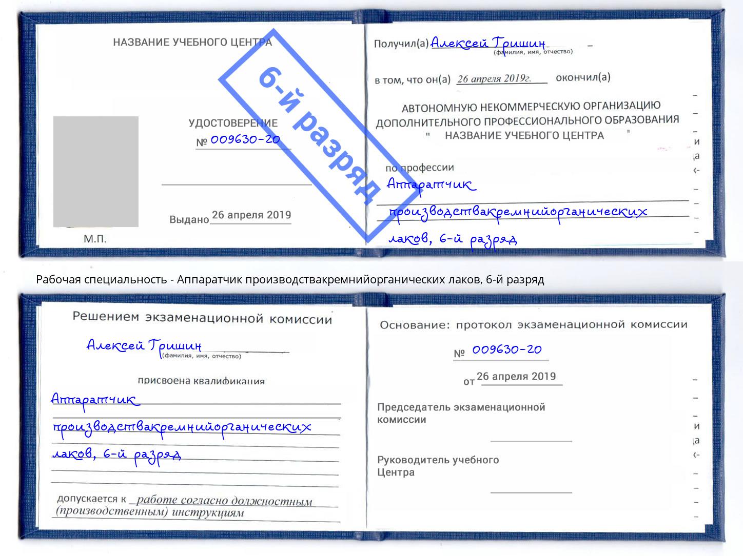 корочка 6-й разряд Аппаратчик производствакремнийорганических лаков Кулебаки