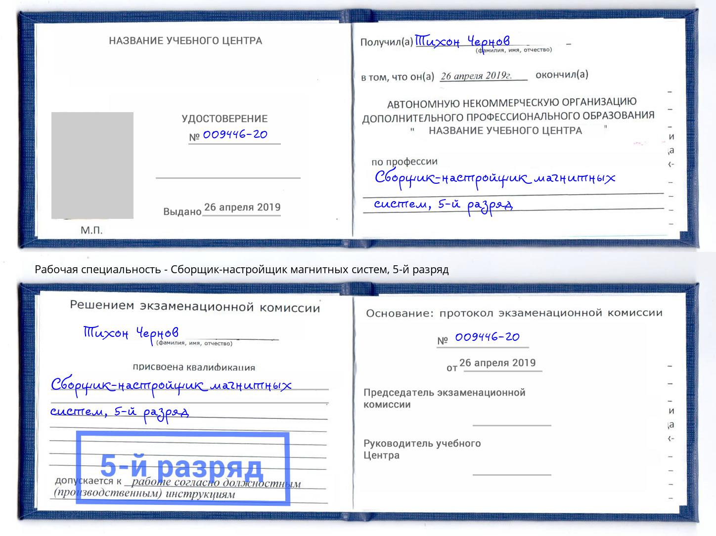 корочка 5-й разряд Сборщик-настройщик магнитных систем Кулебаки