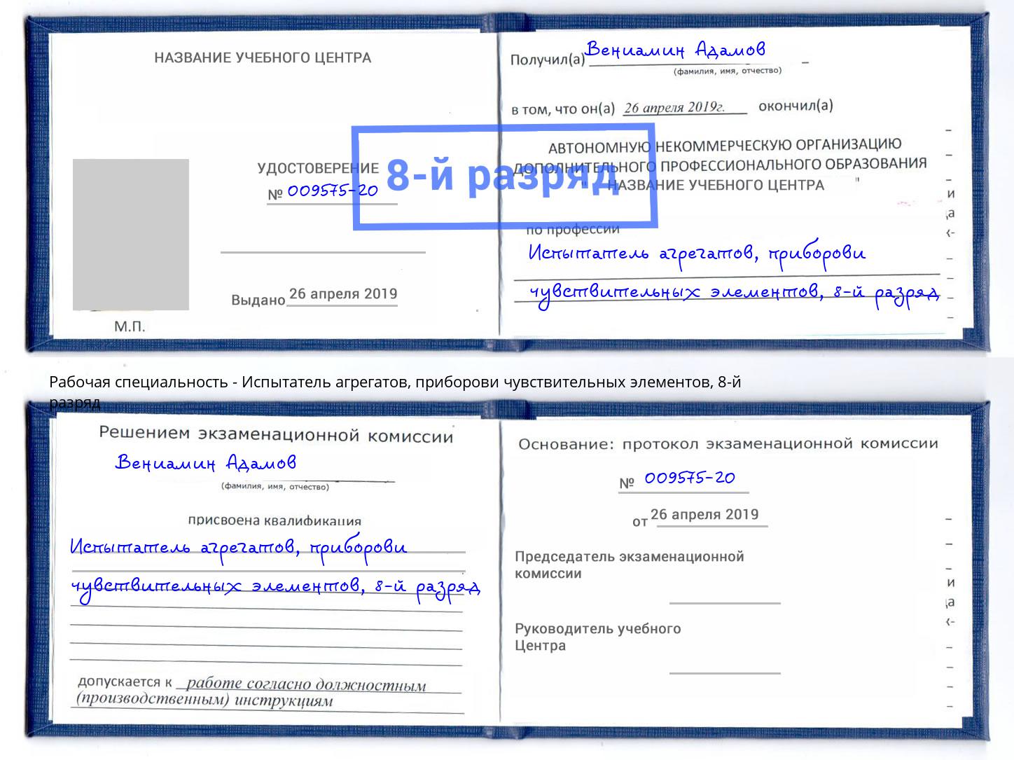 корочка 8-й разряд Испытатель агрегатов, приборови чувствительных элементов Кулебаки
